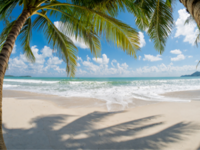 Things To Do https://terraverderesort.icnd-cdn.com/images/thingstodo/12.png