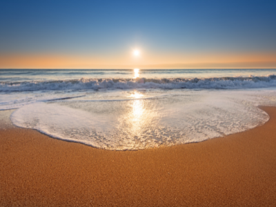 Things To Do https://terraverderesort.icnd-cdn.com/images/thingstodo/13.png