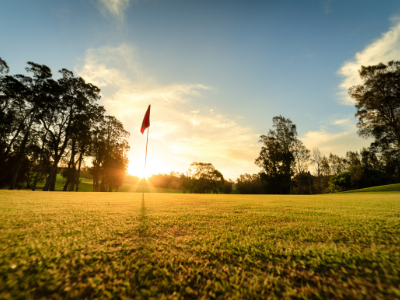 Things To Do https://terraverderesort.icnd-cdn.com/images/thingstodo/Untitled_design__27_.png